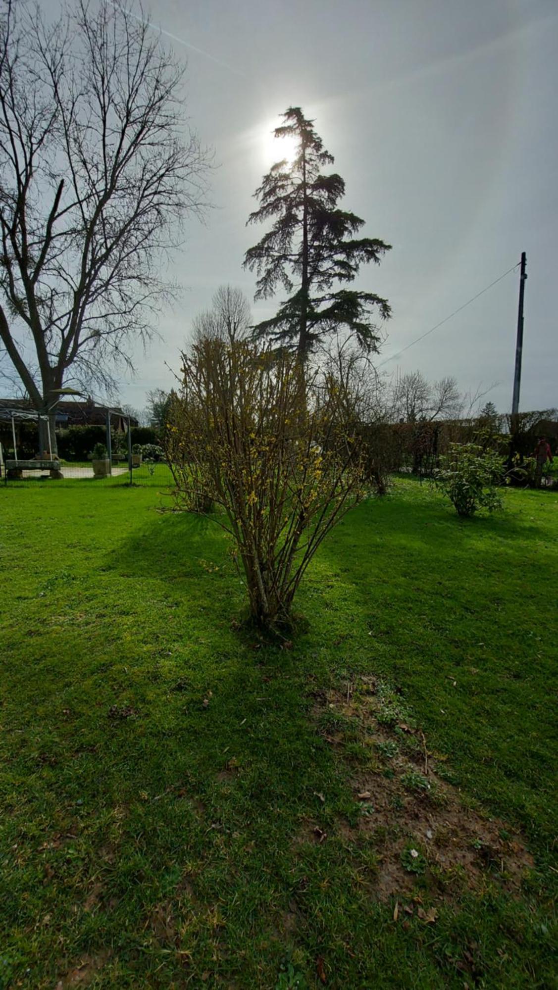 Villa Maella Saint-Michel-Tuboeuf Luaran gambar