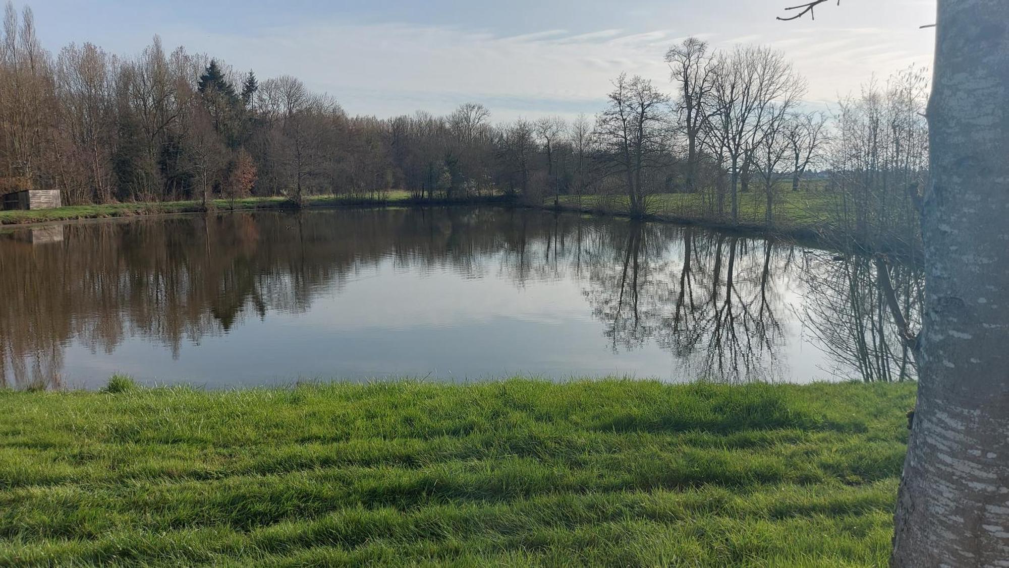 Villa Maella Saint-Michel-Tuboeuf Luaran gambar